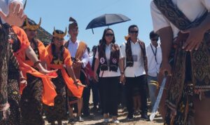 Calon Bupati dan Calon Wakil Bupati Sumba Barat Daya Ratu Wulla dan Angga Kaka, diantar dengan tarian memasuki Kantor KPU Sumba Barat Daya (Johan Sogara/Lintas Sumba)